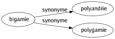 Synonyme de Bigamie : Polyandrie Polygamie 