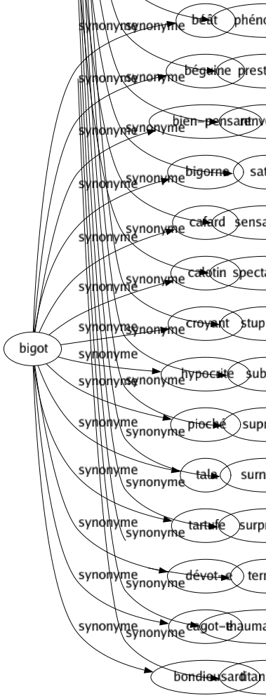 Synonyme de Bigot : Béât Béguine Bien-pensant Bigorne Cafard Calotin Croyant Hypocrite Pioché Tala Tartufe Dévot-e Cagot-e Bondieusard 