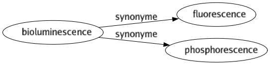 Synonyme de Bioluminescence : Fluorescence Phosphorescence 