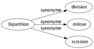 Synonyme de Bipartition : Division Mitose Scission 