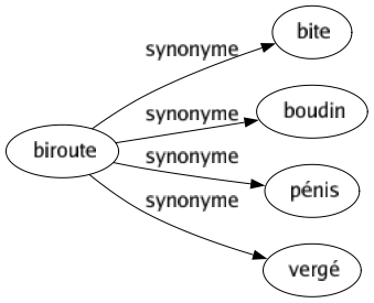 Synonyme de Biroute : Bite Boudin Pénis Vergé 