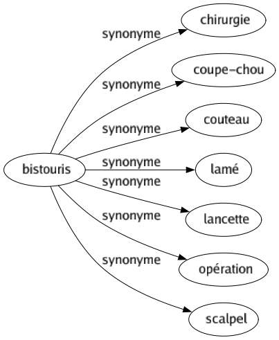 Synonyme de Bistouris : Chirurgie Coupe-chou Couteau Lamé Lancette Opération Scalpel 