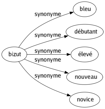 Synonyme de Bizut : Bleu Débutant Élevé Nouveau Novice 