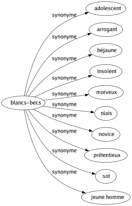 Synonyme de Blancs-becs : Adolescent Arrogant Béjaune Insolent Morveux Niais Novice Prétentieux Sot Jeune homme 