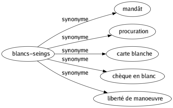 Synonyme de Blancs-seings : Mandât Procuration Carte blanche Chèque en blanc Liberté de manoeuvre 