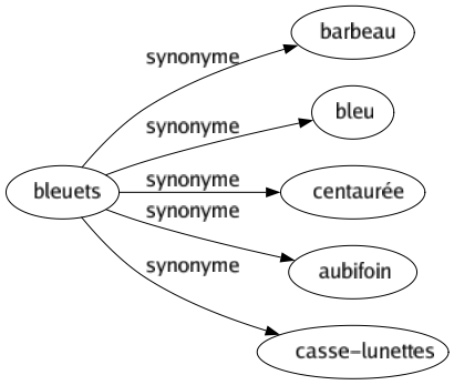 Synonyme de Bleuets : Barbeau Bleu Centaurée Aubifoin Casse-lunettes 