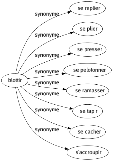 Synonyme de Blottir : Se replier Se plier Se presser Se pelotonner Se ramasser Se tapir Se cacher S'accroupir 