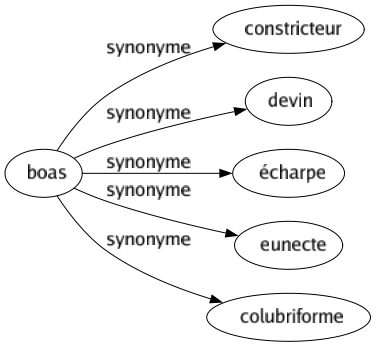 Synonyme de Boas : Constricteur Devin Écharpe Eunecte Colubriforme 