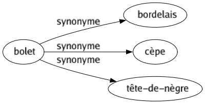 Synonyme de Bolet : Bordelais Cèpe Tête-de-nègre 