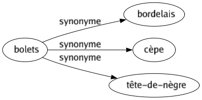 Synonyme de Bolets : Bordelais Cèpe Tête-de-nègre 