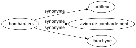 Synonyme de Bombardiers : Artilleur Avion de bombardement Brachyne 