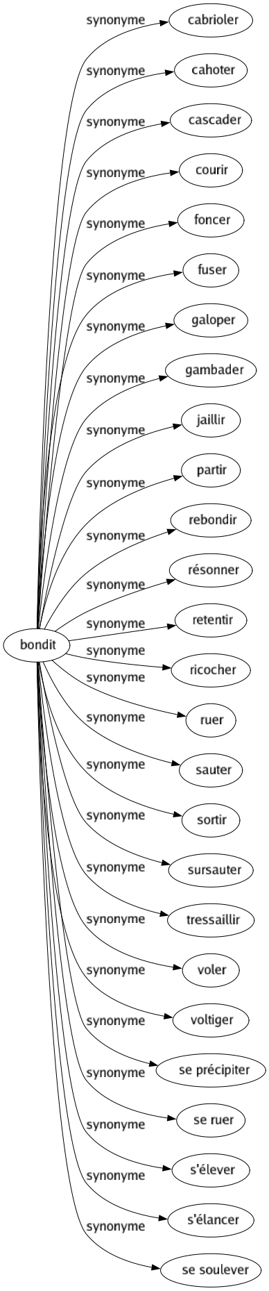 Synonyme de Bondit : Cabrioler Cahoter Cascader Courir Foncer Fuser Galoper Gambader Jaillir Partir Rebondir Résonner Retentir Ricocher Ruer Sauter Sortir Sursauter Tressaillir Voler Voltiger Se précipiter Se ruer S'élever S'élancer Se soulever 