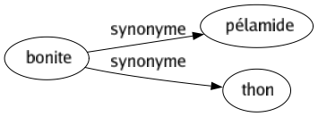 Synonyme de Bonite : Pélamide Thon 