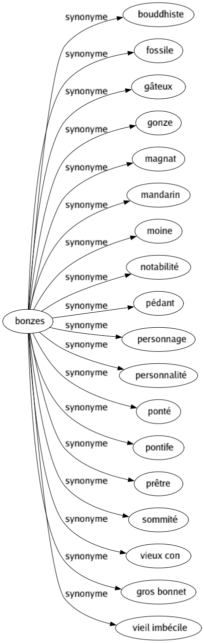 Synonyme de Bonzes : Bouddhiste Fossile Gâteux Gonze Magnat Mandarin Moine Notabilité Pédant Personnage Personnalité Ponté Pontife Prêtre Sommité Vieux con Gros bonnet Vieil imbécile 