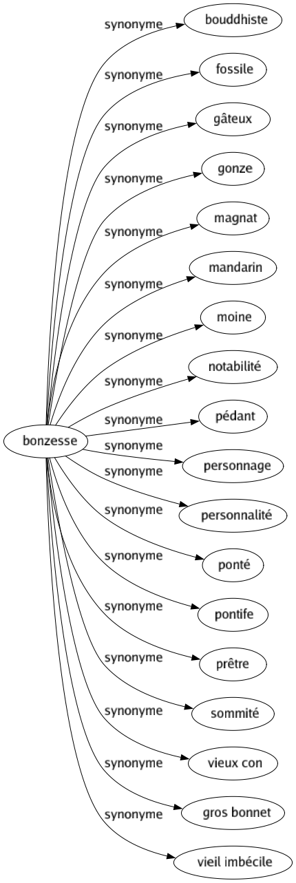 Synonyme de Bonzesse : Bouddhiste Fossile Gâteux Gonze Magnat Mandarin Moine Notabilité Pédant Personnage Personnalité Ponté Pontife Prêtre Sommité Vieux con Gros bonnet Vieil imbécile 