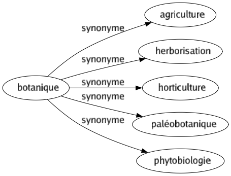 Synonyme de Botanique : Agriculture Herborisation Horticulture Paléobotanique Phytobiologie 