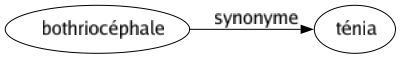 Synonyme de Bothriocéphale : Ténia 