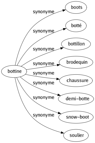 Synonyme de Bottine : Boots Botté Bottillon Brodequin Chaussure Demi-botte Snow-boot Soulier 