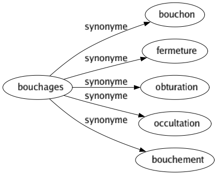 Synonyme de Bouchages : Bouchon Fermeture Obturation Occultation Bouchement 