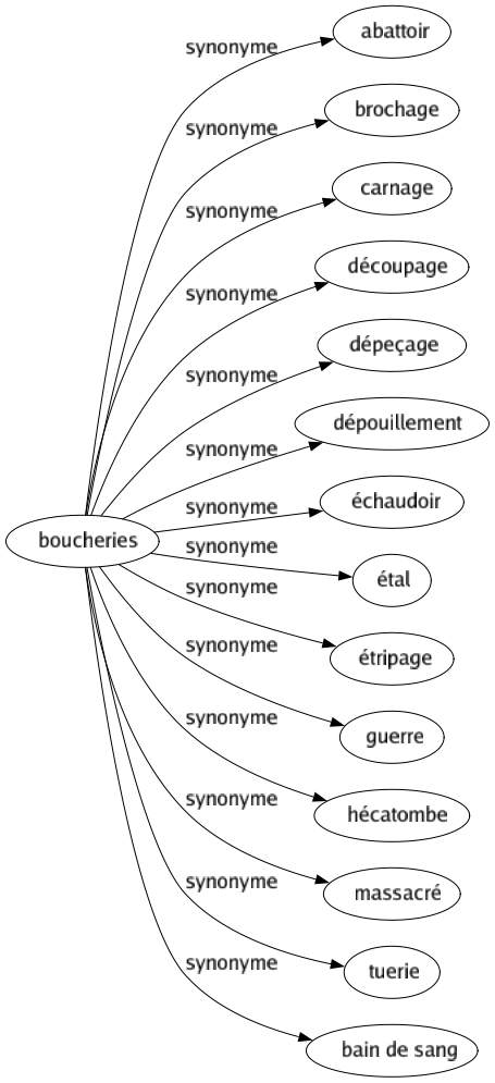 Synonyme de Boucheries : Abattoir Brochage Carnage Découpage Dépeçage Dépouillement Échaudoir Étal Étripage Guerre Hécatombe Massacré Tuerie Bain de sang 