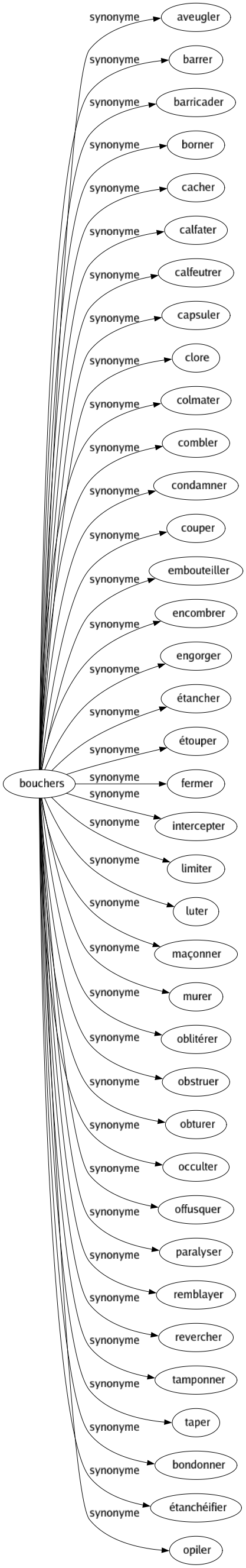 Synonyme de Bouchers : Aveugler Barrer Barricader Borner Cacher Calfater Calfeutrer Capsuler Clore Colmater Combler Condamner Couper Embouteiller Encombrer Engorger Étancher Étouper Fermer Intercepter Limiter Luter Maçonner Murer Oblitérer Obstruer Obturer Occulter Offusquer Paralyser Remblayer Revercher Tamponner Taper Bondonner Étanchéifier Opiler 