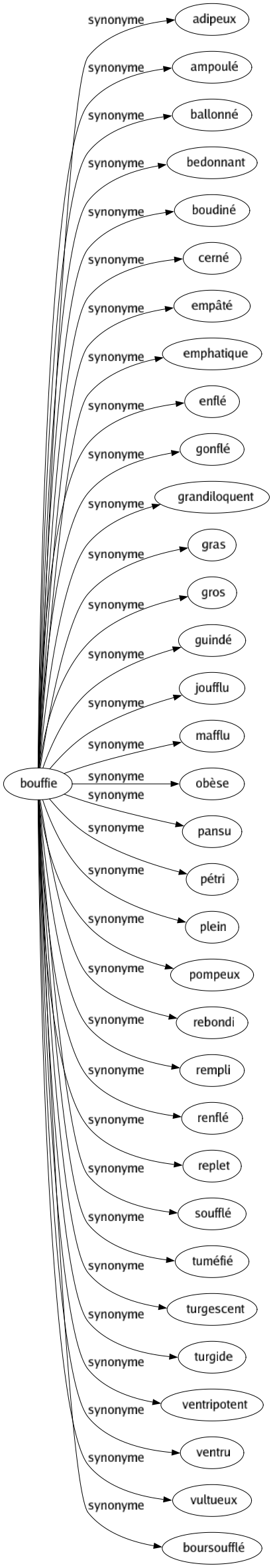 Synonyme de Bouffie : Adipeux Ampoulé Ballonné Bedonnant Boudiné Cerné Empâté Emphatique Enflé Gonflé Grandiloquent Gras Gros Guindé Joufflu Mafflu Obèse Pansu Pétri Plein Pompeux Rebondi Rempli Renflé Replet Soufflé Tuméfié Turgescent Turgide Ventripotent Ventru Vultueux Boursoufflé 