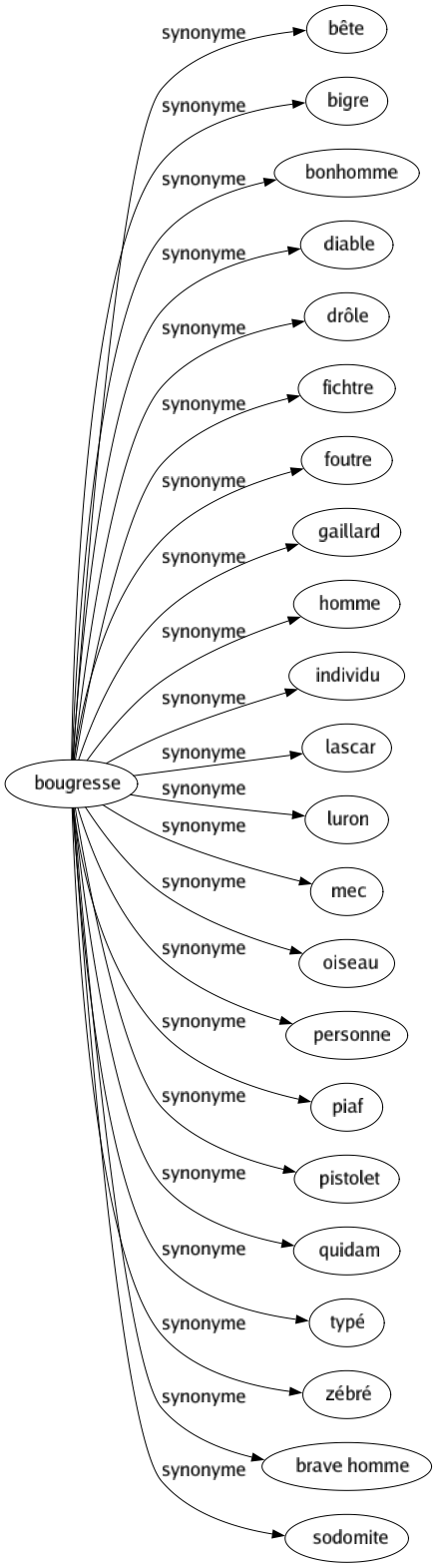 Synonyme de Bougresse : Bête Bigre Bonhomme Diable Drôle Fichtre Foutre Gaillard Homme Individu Lascar Luron Mec Oiseau Personne Piaf Pistolet Quidam Typé Zébré Brave homme Sodomite 