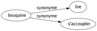 Synonyme de Bouquine : Lire S'accoupler 