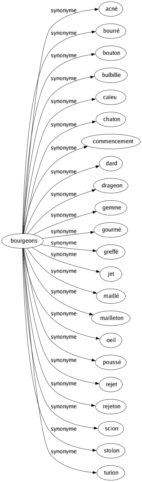 Synonyme de Bourgeons : Acné Bourré Bouton Bulbille Caïeu Chaton Commencement Dard Drageon Gemme Gourmé Greffé Jet Maillé Mailleton Oeil Poussé Rejet Rejeton Scion Stolon Turion 