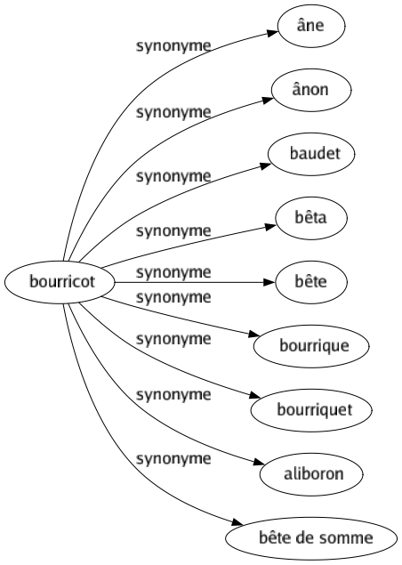 Synonyme de Bourricot : Âne Ânon Baudet Bêta Bête Bourrique Bourriquet Aliboron Bête de somme 