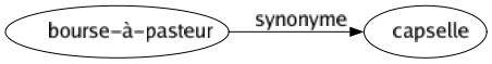 Synonyme de Bourse-à-pasteur : Capselle 