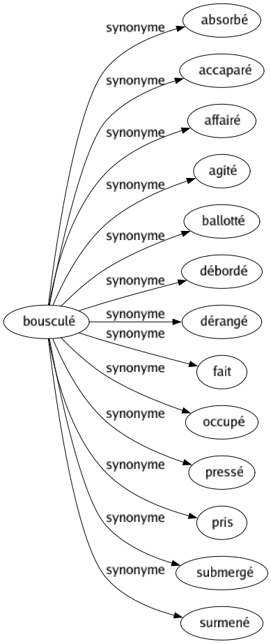 Synonyme de Bousculé : Absorbé Accaparé Affairé Agité Ballotté Débordé Dérangé Fait Occupé Pressé Pris Submergé Surmené 