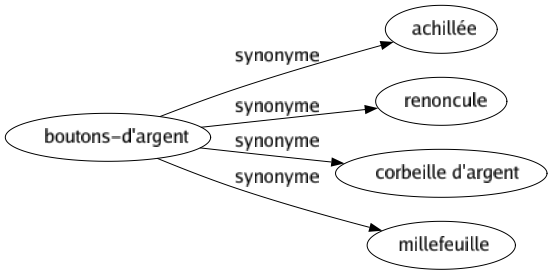 Synonyme de Boutons-d'argent : Achillée Renoncule Corbeille d'argent Millefeuille 