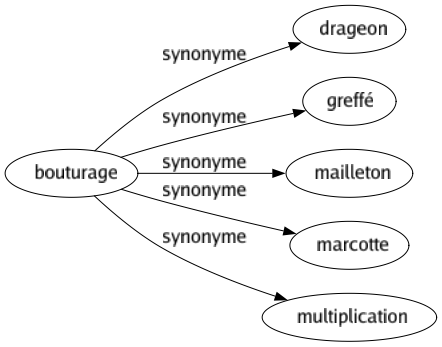 Synonyme de Bouturage : Drageon Greffé Mailleton Marcotte Multiplication 