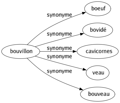 Synonyme de Bouvillon : Boeuf Bovidé Cavicornes Veau Bouveau 