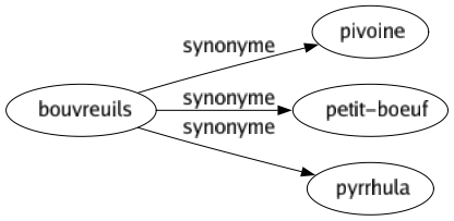 Synonyme de Bouvreuils : Pivoine Petit-boeuf Pyrrhula 