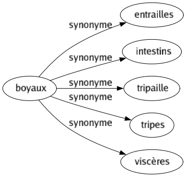 Synonyme de Boyaux : Entrailles Intestins Tripaille Tripes Viscères 