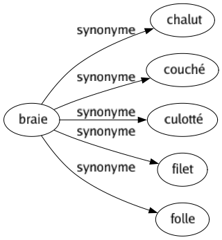Synonyme de Braie : Chalut Couché Culotté Filet Folle 