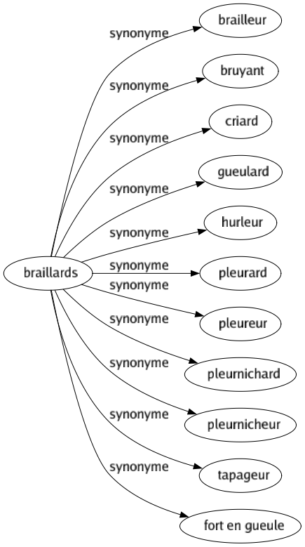 Synonyme de Braillards : Brailleur Bruyant Criard Gueulard Hurleur Pleurard Pleureur Pleurnichard Pleurnicheur Tapageur Fort en gueule 