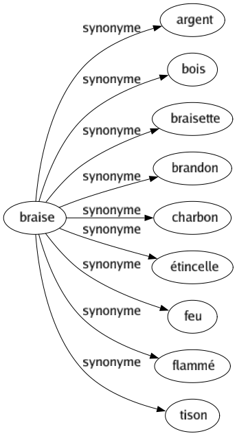 Synonyme de Braise : Argent Bois Braisette Brandon Charbon Étincelle Feu Flammé Tison 