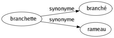 Synonyme de Branchette : Branché Rameau 