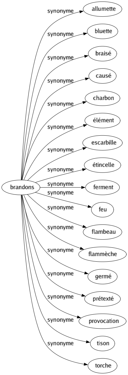 Synonyme de Brandons : Allumette Bluette Braisé Causé Charbon Élément Escarbille Étincelle Ferment Feu Flambeau Flammèche Germé Prétexté Provocation Tison Torche 