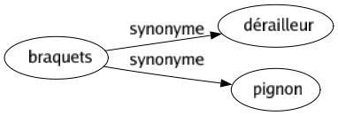 Synonyme de Braquets : Dérailleur Pignon 