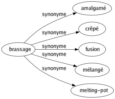 Synonyme de Brassage : Amalgamé Crêpé Fusion Mélangé Melting-pot 