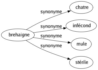 Synonyme de Brehaigne : Chatre Infécond Mule Stérile 