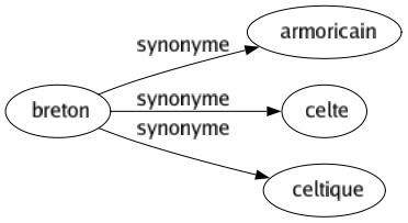 Synonyme de Breton : Armoricain Celte Celtique 