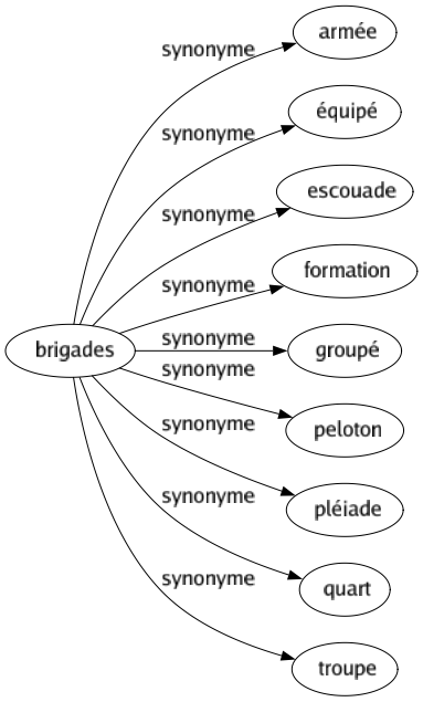 Synonyme de Brigades : Armée Équipé Escouade Formation Groupé Peloton Pléiade Quart Troupe 