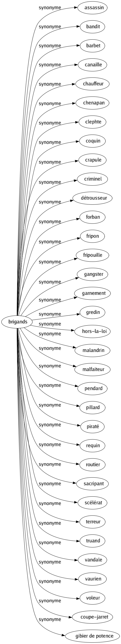 Synonyme de Brigands : Assassin Bandit Barbet Canaille Chauffeur Chenapan Clephte Coquin Crapule Criminel Détrousseur Forban Fripon Fripouille Gangster Garnement Gredin Hors-la-loi Malandrin Malfaiteur Pendard Pillard Piraté Requin Routier Sacripant Scélérat Terreur Truand Vandale Vaurien Voleur Coupe-jarret Gibier de potence 