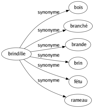 Synonyme de Brindille : Bois Branché Brande Brin Fétu Rameau 