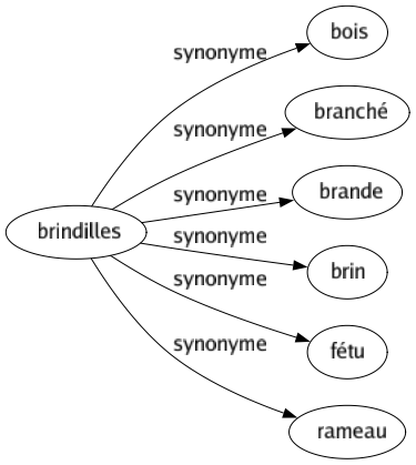 Synonyme de Brindilles : Bois Branché Brande Brin Fétu Rameau 